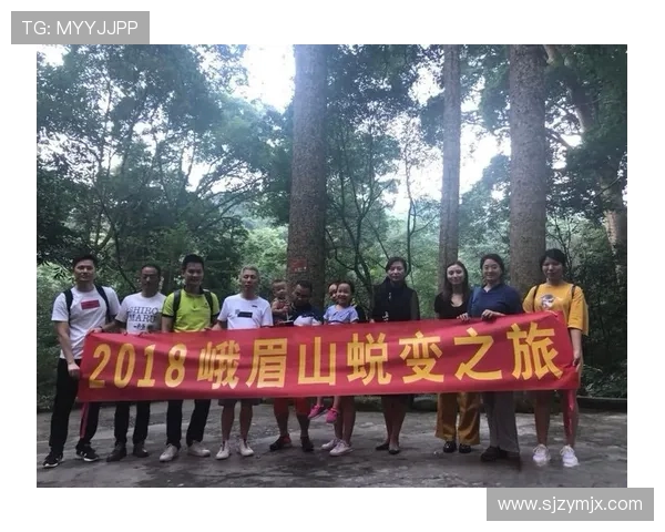 LNG职业联赛转型之路揭秘：从挑战到辉煌的蜕变历程