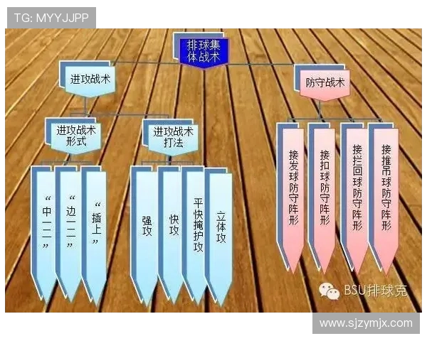 北京排球队挑战赛战术分析与表现评估探讨