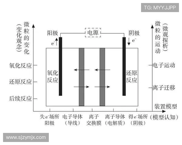 杭州排球队在挑战赛中的速度表现分析与点评 杭州排球队在挑战赛中的速度表现分析与点评