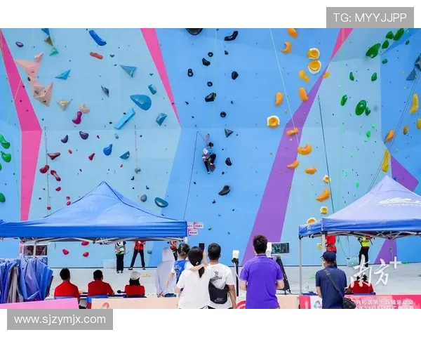 深圳攀岩队在世界攀岩锦标赛中的战术运用与表现分析