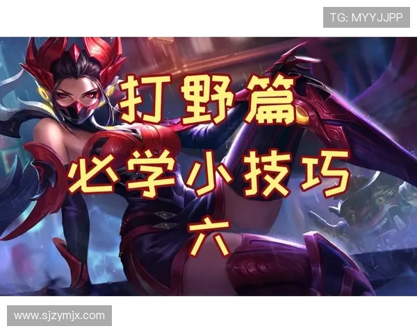 Xun打野策略解析与技巧分享 帮助你在游戏中快速提升打野效率